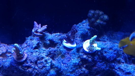 IMAG0668.jpg