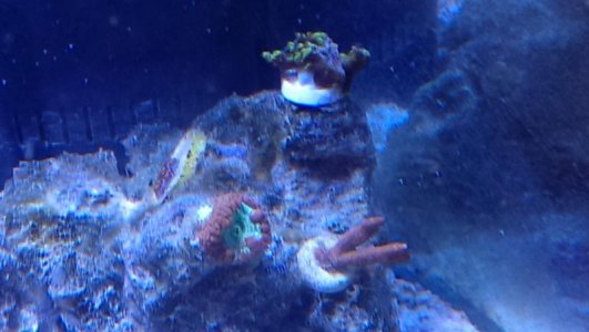 IMAG0669.jpg