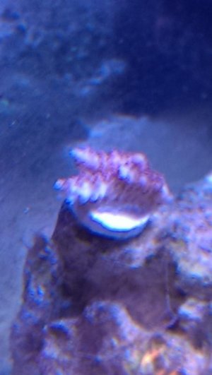 IMAG0671.jpg