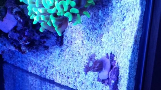 20161027_165054.jpg