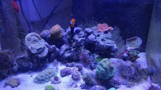 20161125_112139.jpg