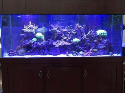 small aquarium.jpg