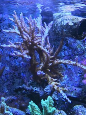 FullSizeRender (3).jpg