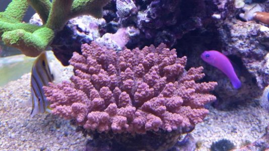 20161124_101258.jpg