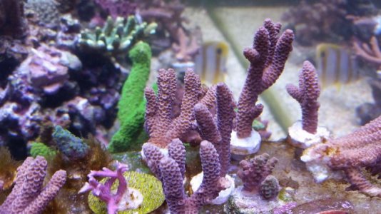 20161126_151705.jpg