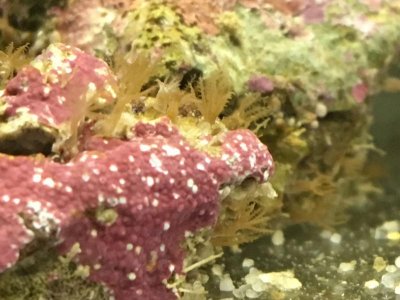 WhatsApp Image 2016-11-28 at 10.43.18 AM.jpg