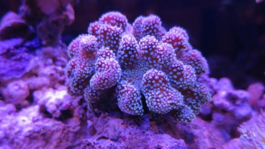 20161128212123.jpg 20161128212123.jpg