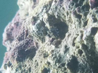 20161128_203615.jpg