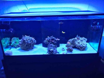 IMG_0260.jpg IMG_0260.jpg