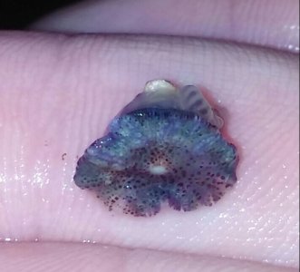 20161126_190148-1~3.jpg