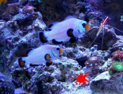 2016-11-29_07.58.20.jpg