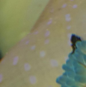 underside.jpg