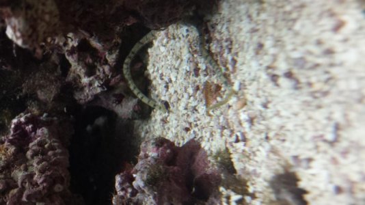 20161129_130813[1].jpg
