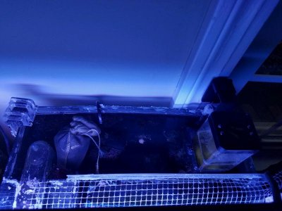 HOB Filter & Skimmer.jpg