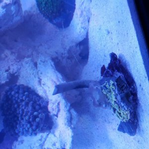 20161209_210446.jpg
