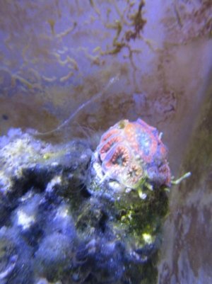 IMG_5340.jpg