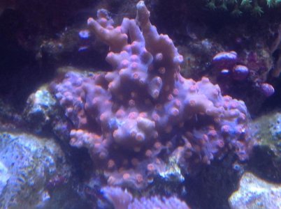 IMG_0370.jpg