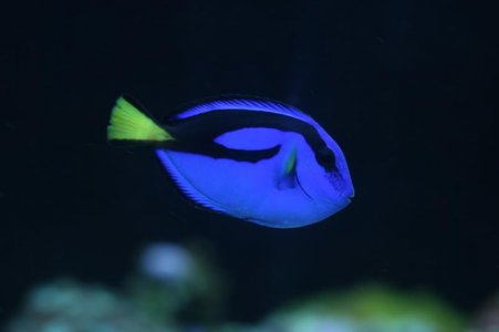 IMG_0162.jpg