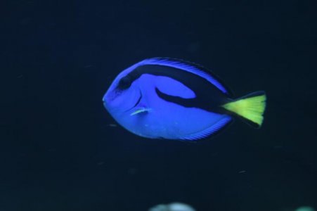 IMG_0175.jpg