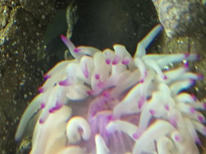 IMG_3103 no edits.jpg