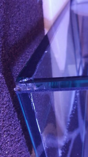 20161203_181903.jpg