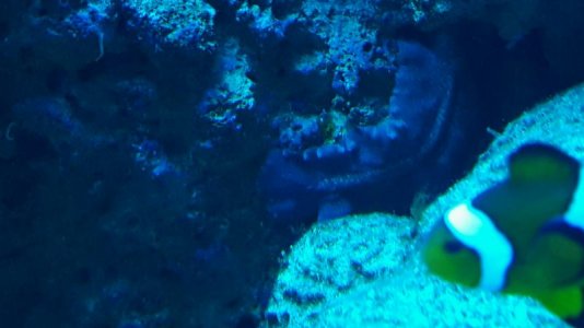 20161213_114626.jpg