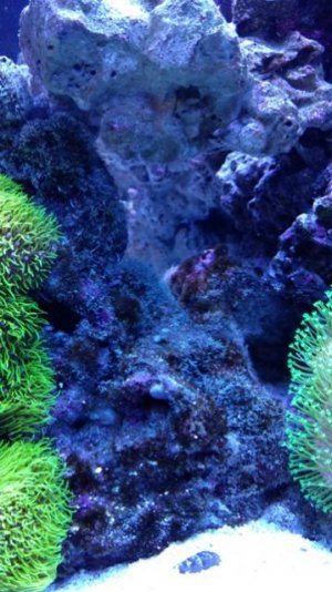 IMG_20161213_192317706.jpg IMG_20161213_192317706.jpg