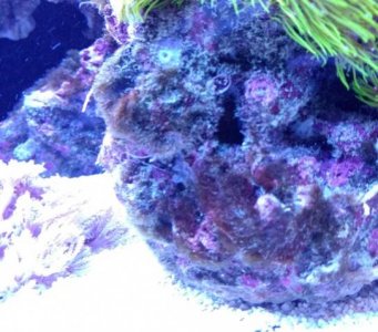 IMG_20161213_192333984.jpg IMG_20161213_192333984.jpg