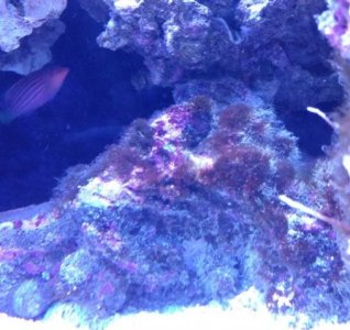 IMG_20161213_192338953.jpg IMG_20161213_192338953.jpg