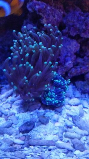 20161213_224050.jpg