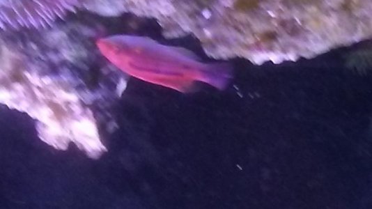 20161214_150453.jpg
