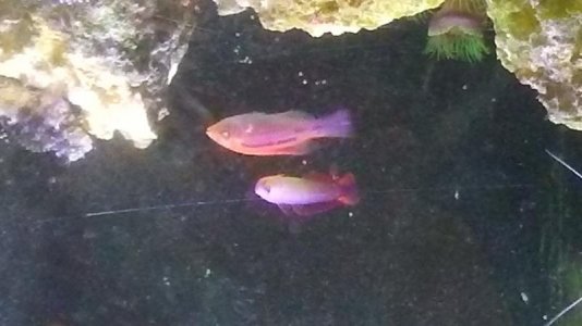 20161214_150348.jpg