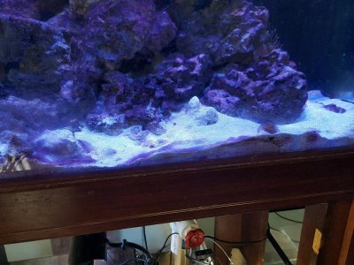 111111pv.jpg 111111pv.jpg