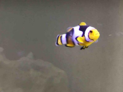 IMG_0172.jpg IMG_0172.jpg