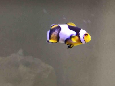 IMG_0175.jpg IMG_0175.jpg