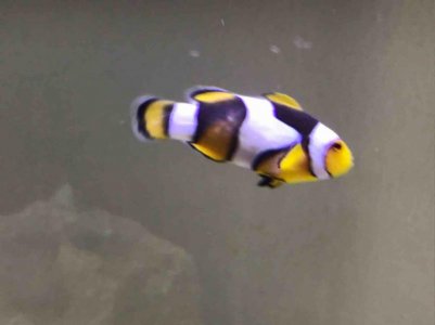 IMG_0176.jpg IMG_0176.jpg