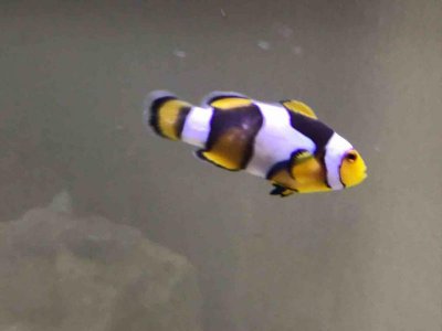 IMG_0177.jpg IMG_0177.jpg