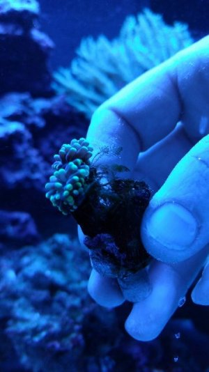 IMG_20161215_171216406.jpg IMG_20161215_171216406.jpg