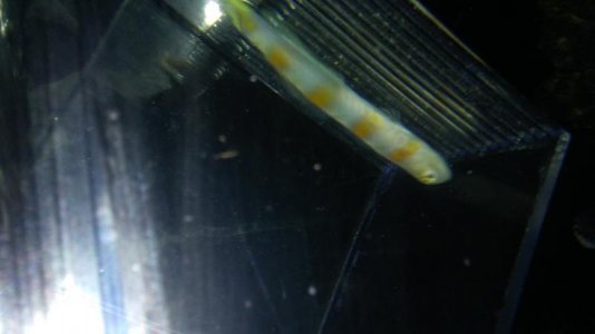 20161206_185321.jpg