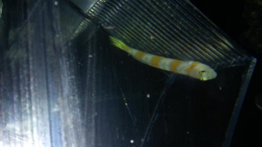 20161206_185325.jpg