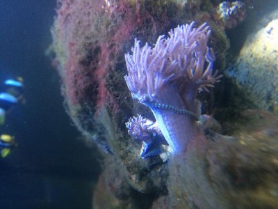 IMG_0049.jpg