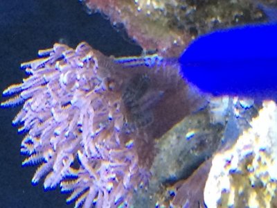 IMG_0057.jpg