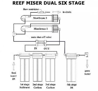 REEFMISERDUALSTAGE1pg.jpg