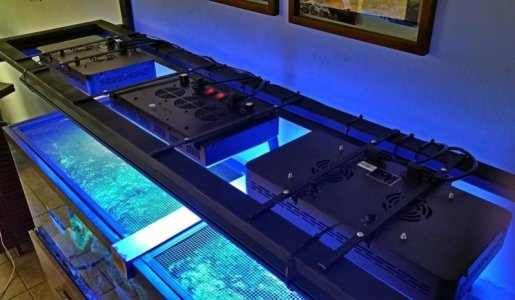 20160305_154742 - Copy.jpg