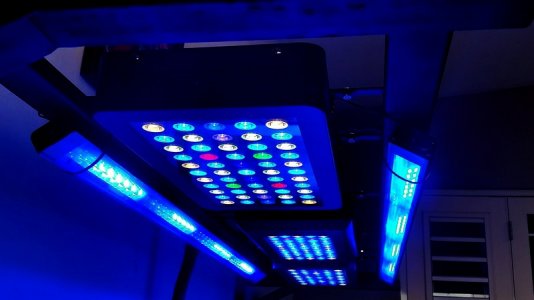 20160305_154603 - Copy.jpg