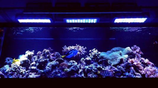 20170106_202658 - Copy.jpg