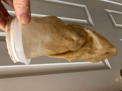 Slimy Filter Sock.jpg