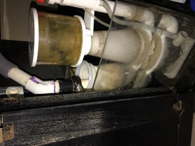 Sump Pic 1.jpg