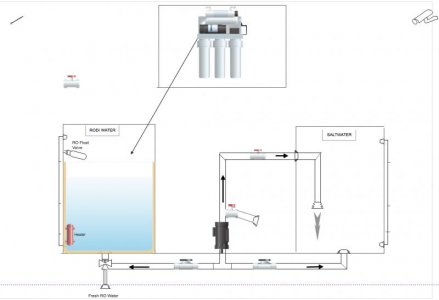 Screen Shot 2017-01-25 at 7.15.38 PM.jpg