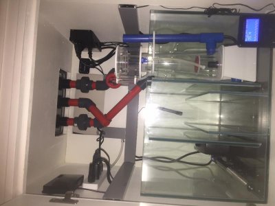 image1.jpg image1.jpg